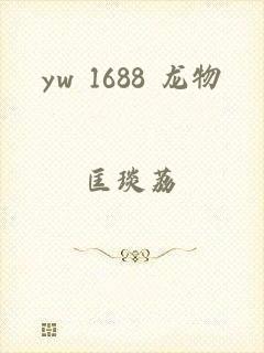 yw 1688 龙物